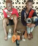 Security: Lagos Police arrests 6 suspected robbers, cultists, recover arms, ammunition