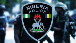 Police arrest man in viral video threatening Adamawa residents with AK-47￼